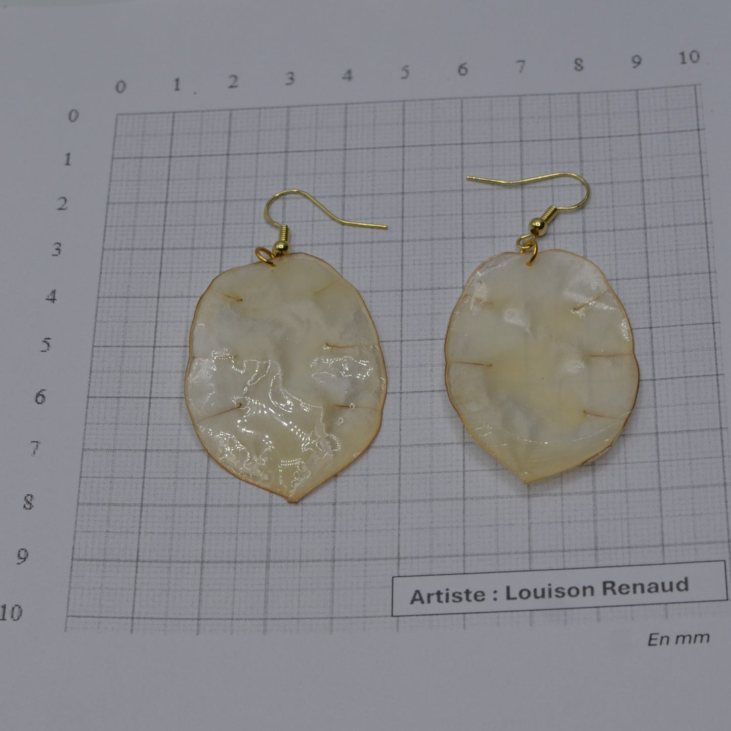 boite - boucles oreilles - monnaie du pape naturelle N°1