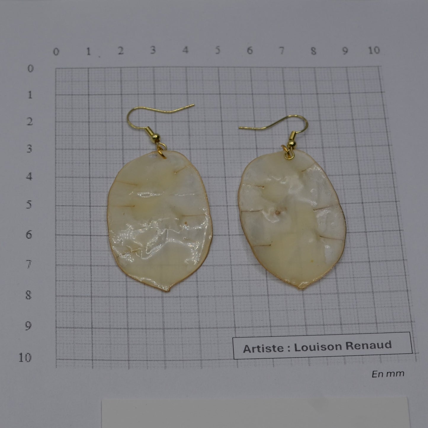 boite - boucles oreilles - monnaie du pape naturelle N°4