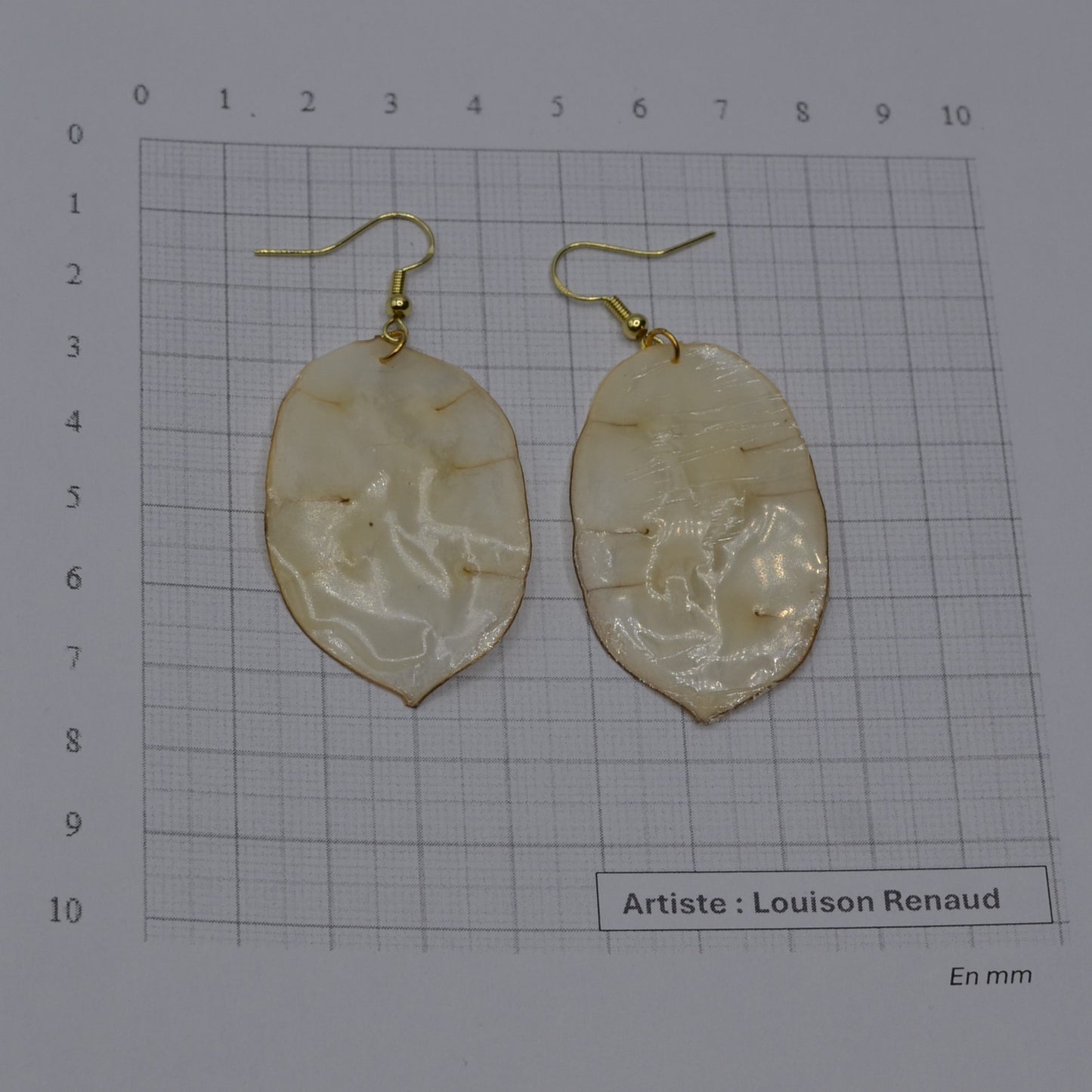 boite - boucles oreilles - monnaie du pape naturelle N°5